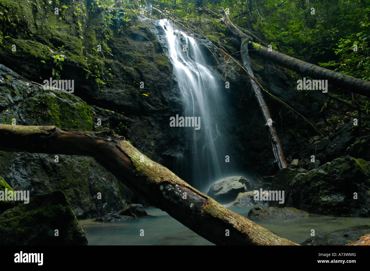 Waterfall, Manuel Antonio National Park, Central Pacific, Costa Rica