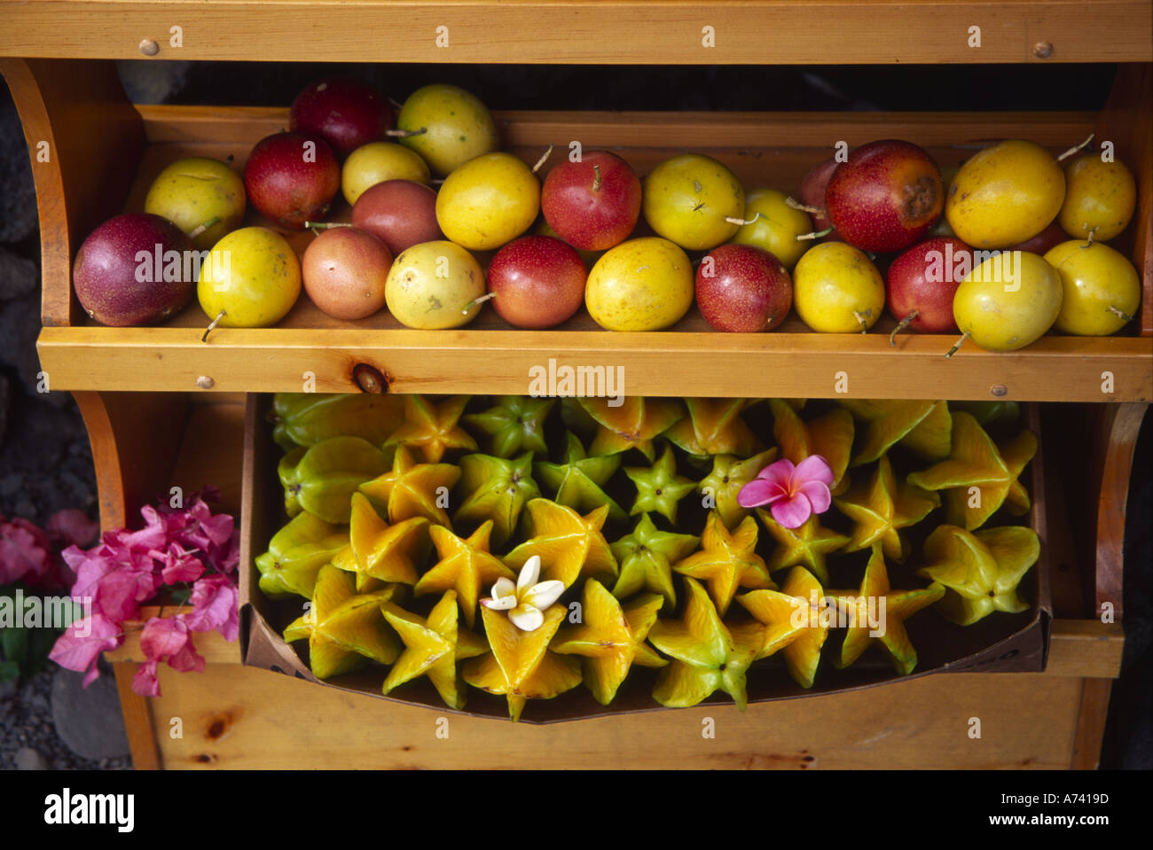 Hawaii star fruit hi-res stock photography and images - Alamy