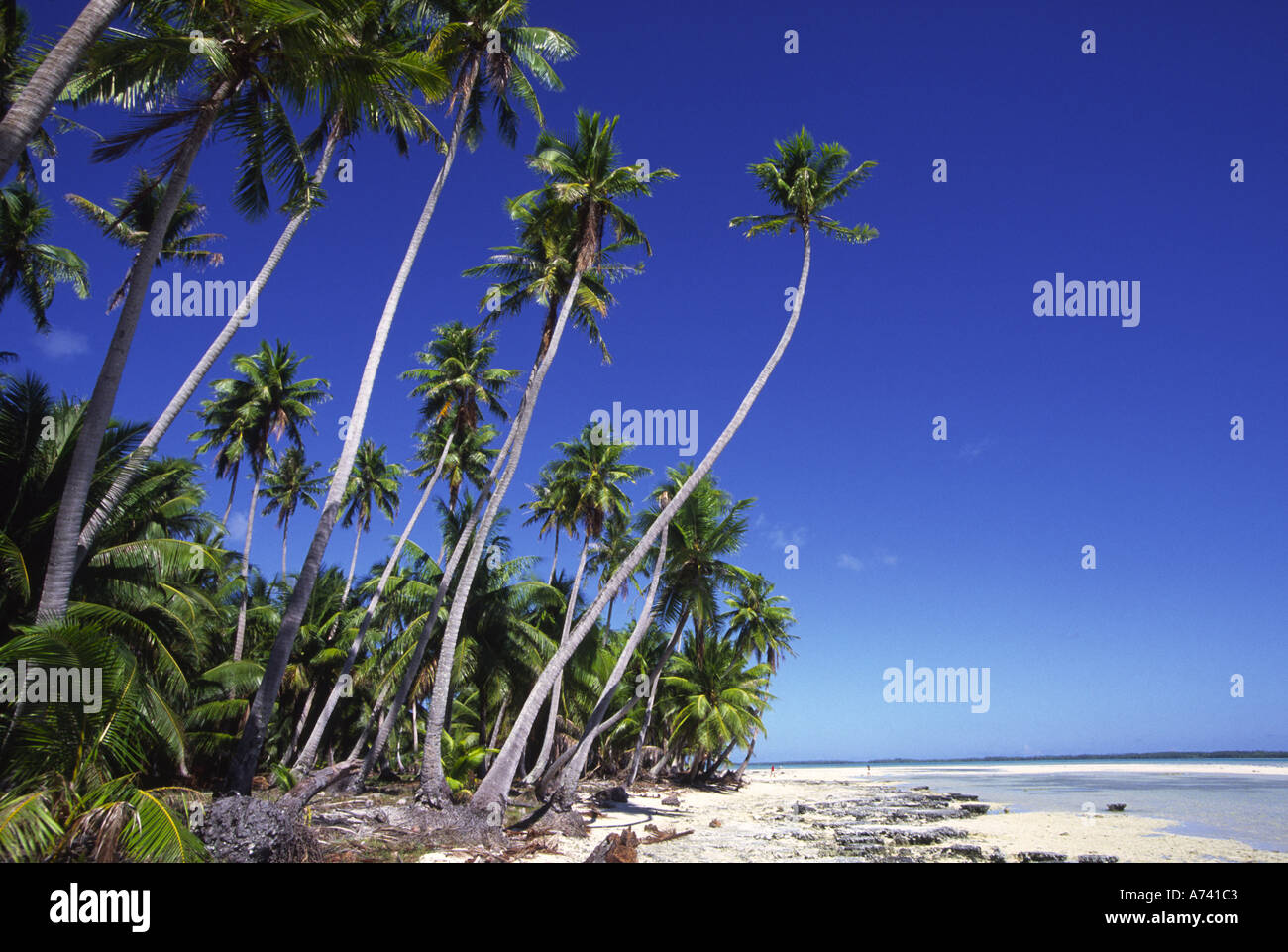 Mataiva Island Tuamotus French Polynesia Stock Photo - Alamy