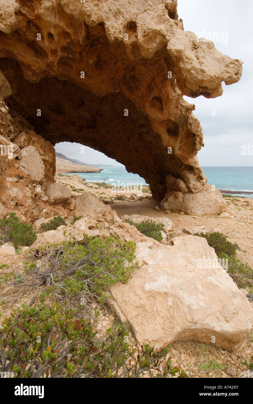 rock formation near of Er Herr northern coast of Socotra island Yemen Stock Photo