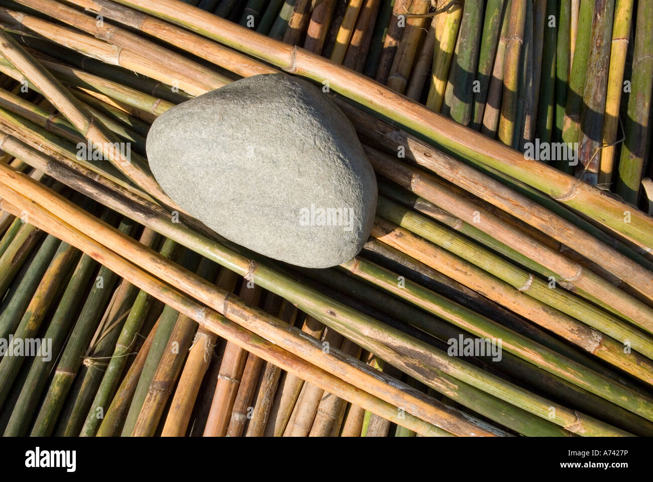 fresh rattan or rotang rods Kachin State Myanmar Stock Photo Alamy