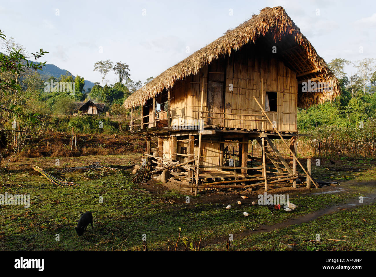 traditional Rawang house Kachin State Myanmar Stock Photo ...