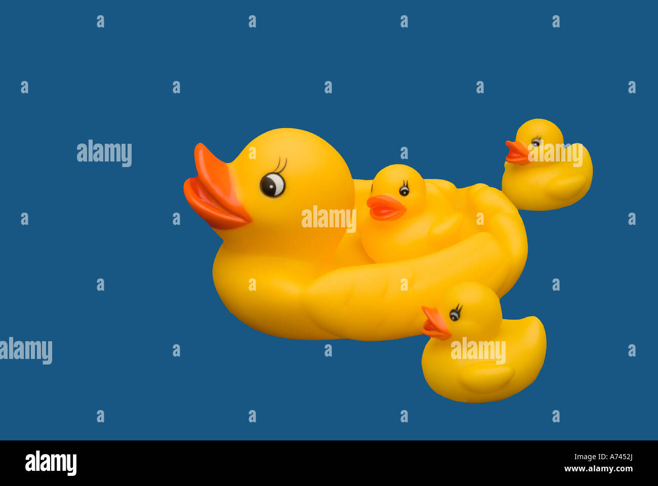 Bath Rubber Ducks on Blue Background Stock Photo Alamy