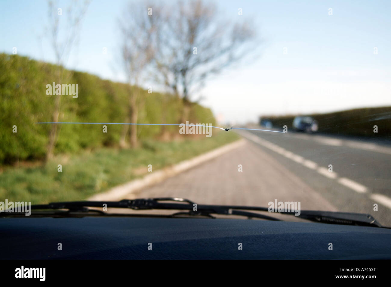 stone chip on car windscreen Stock Photo Alamy