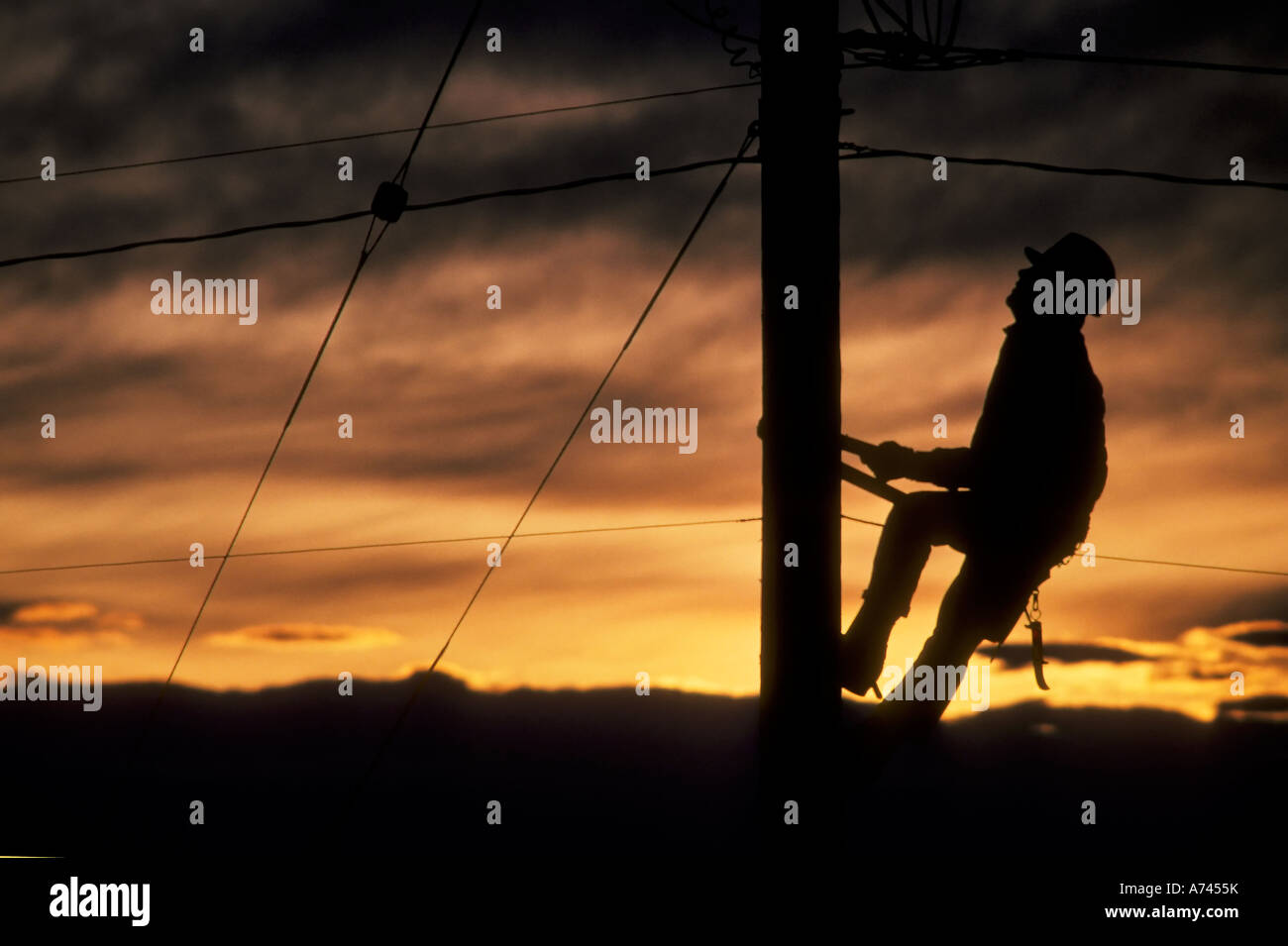 Lineman at Work, Calgary, Alberta, Canada Stock Photo Alamy