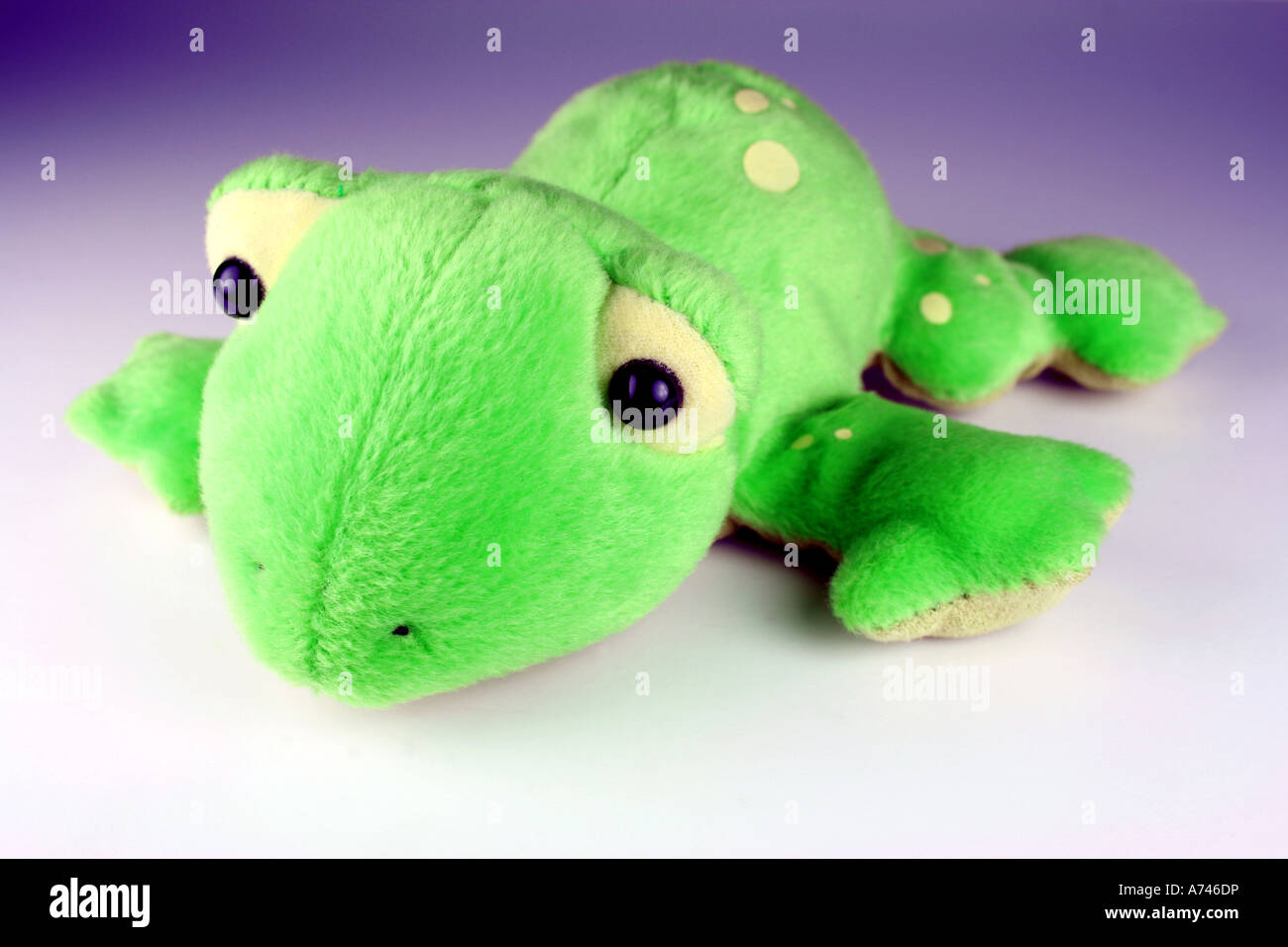 Cute little green cuddly toy frog Stock Photo Alamy