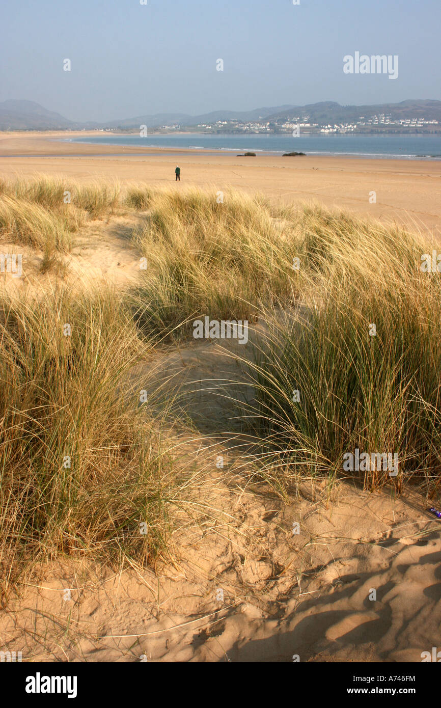 among the sand dunes at Ballymastocker Strand near Portsalon in County Donegal, Republic of Ireland Stock Photo