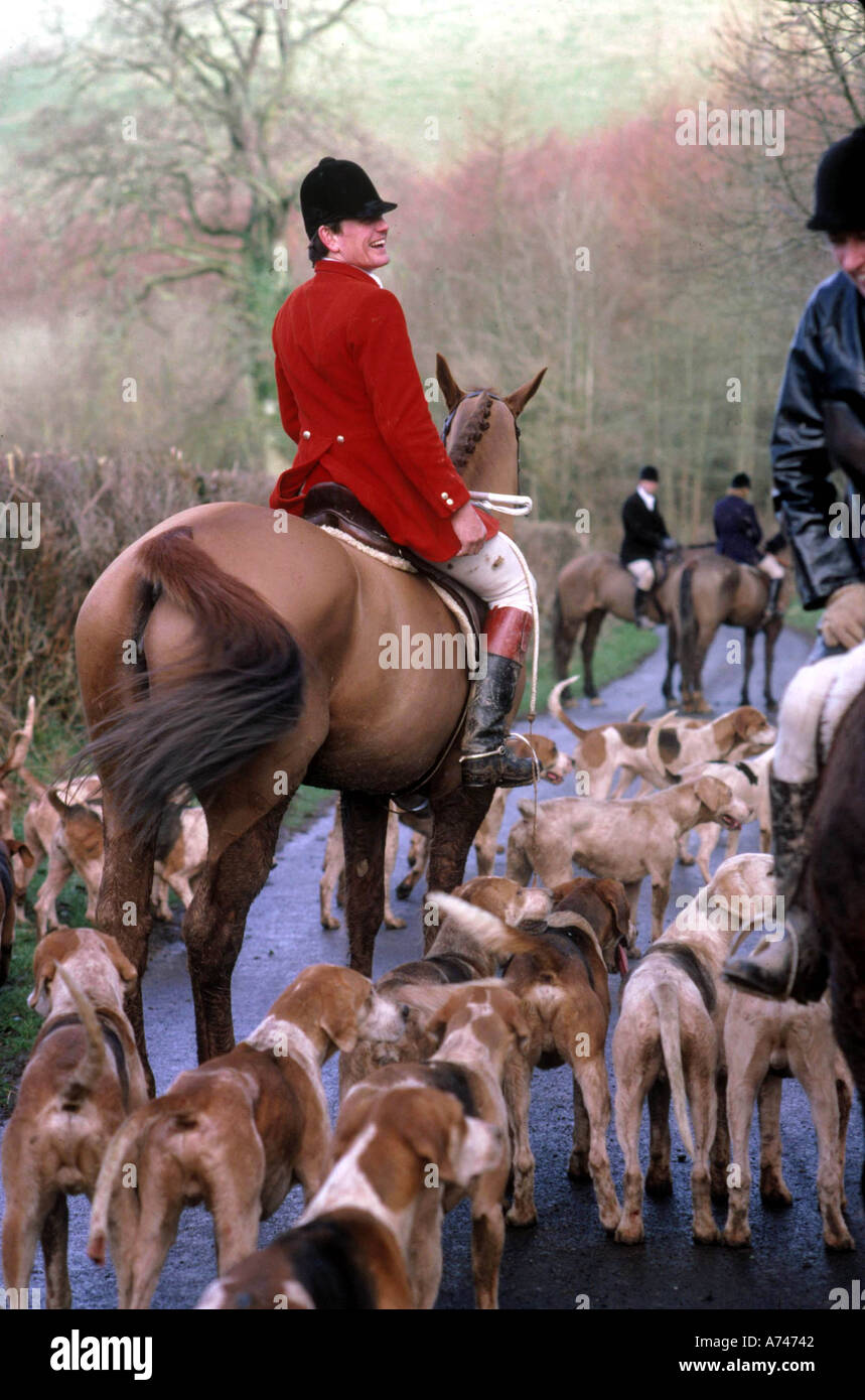 Fox Hunting in Somerset Stock Photo