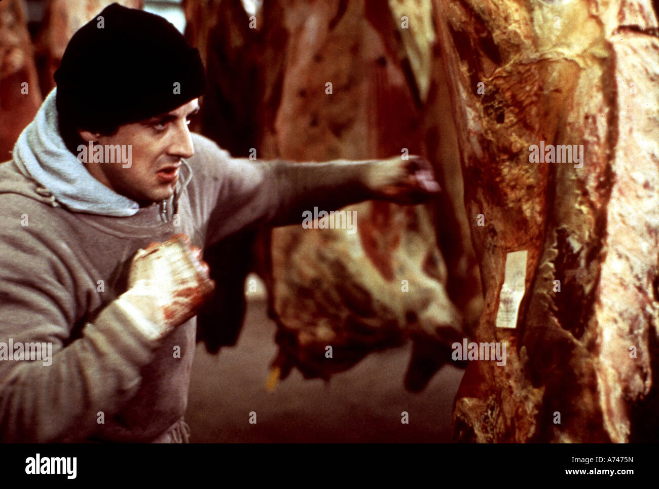 ROCKY 1976 UA/Chartoff-Winkler film with Sylvester Stallone as Rocky Balboa Stock Photo