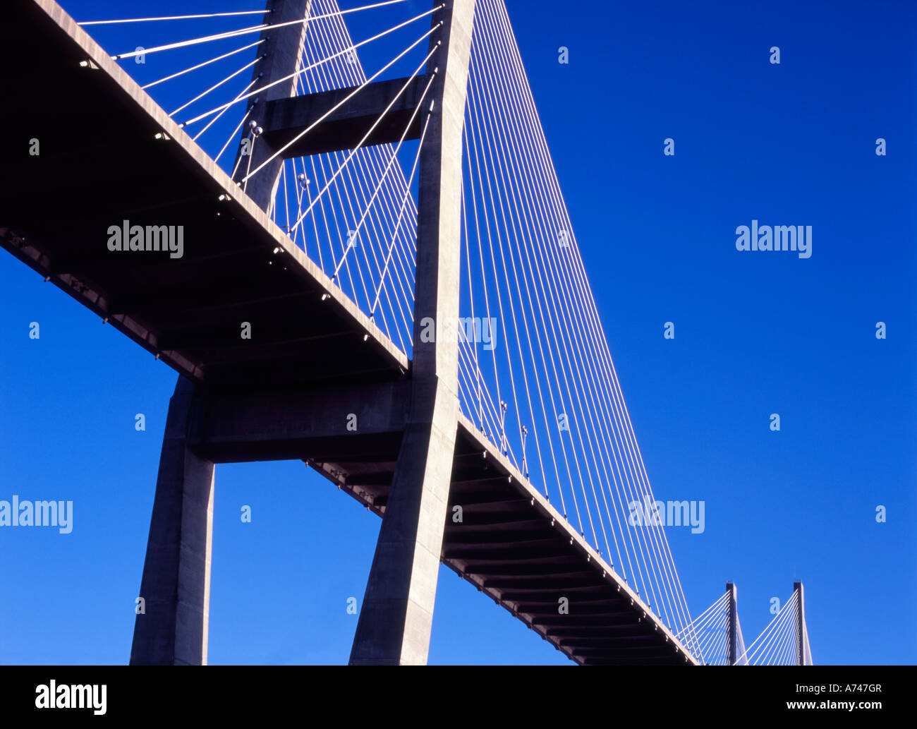 The new Talmadge Memorial cablestayed bridge, Savannah, USA, completed 1991 Stock