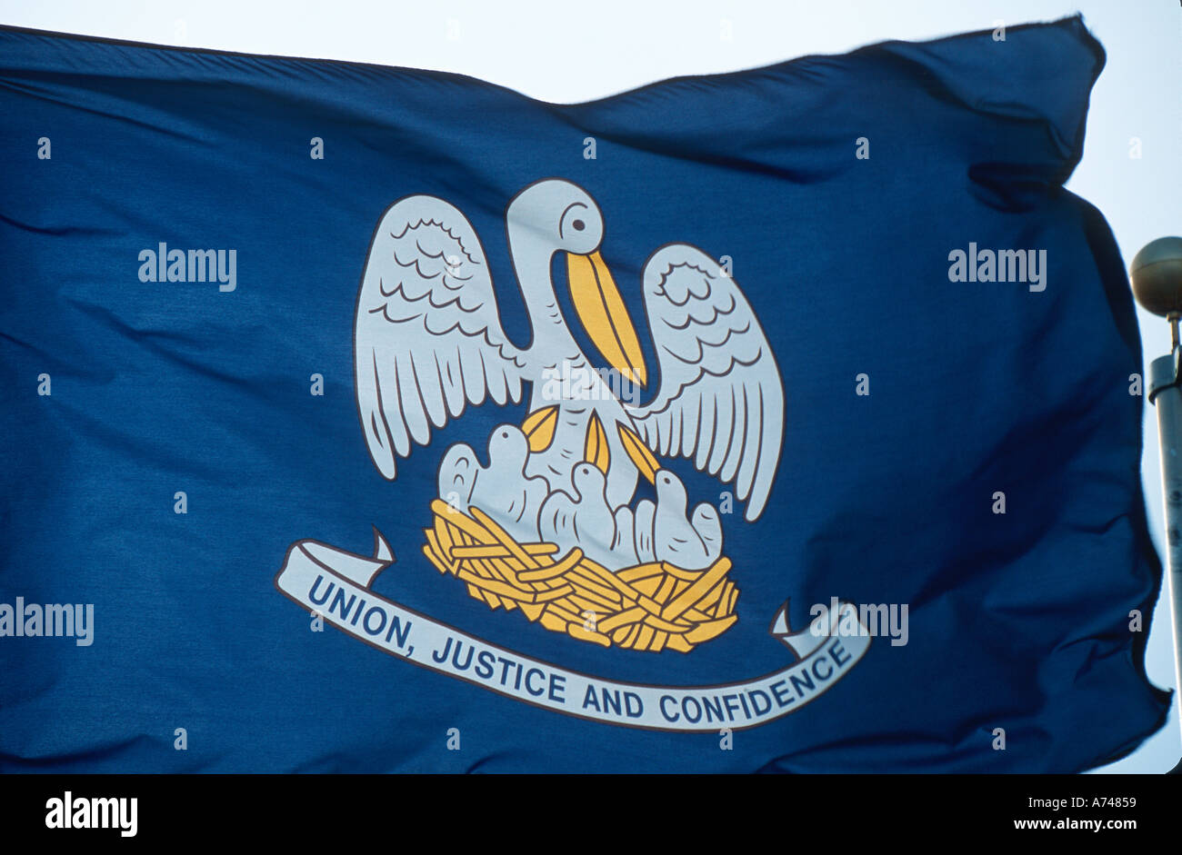 State Flag of Louisiana Stock Photo Alamy