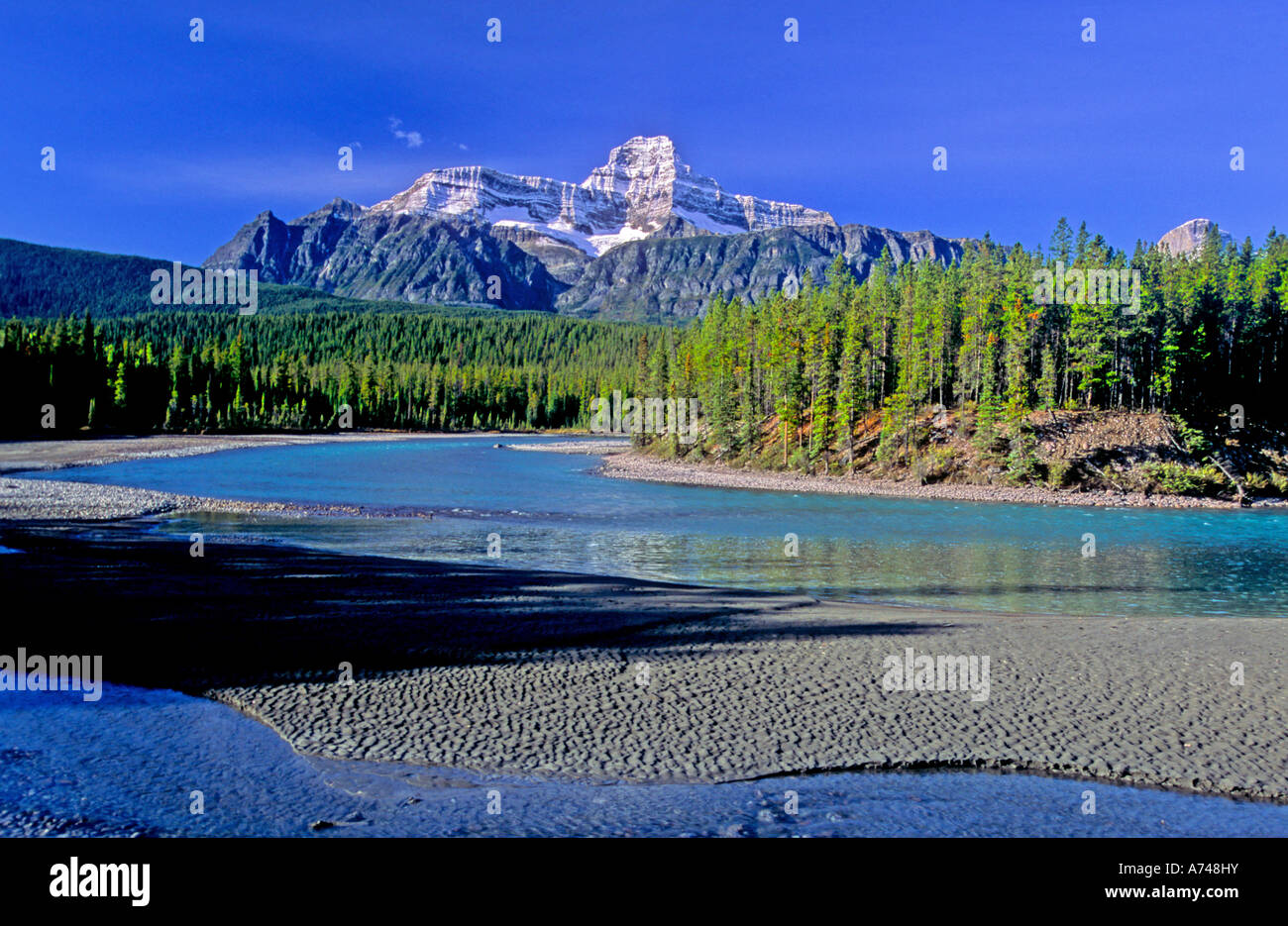 The Athabasca river Stock Photo Alamy