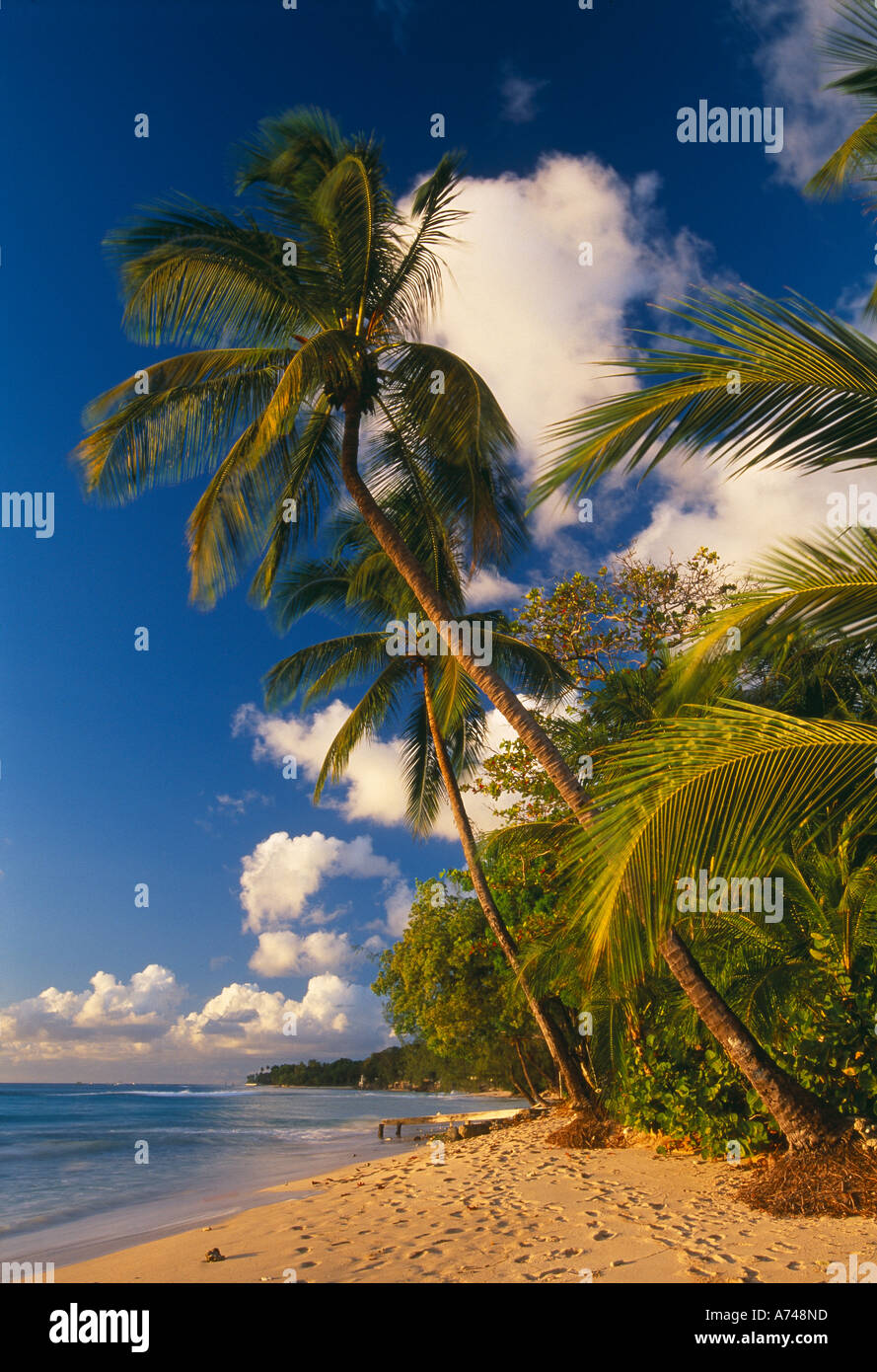 beach at Mullins Bay West Coast Barbados Stock Photo