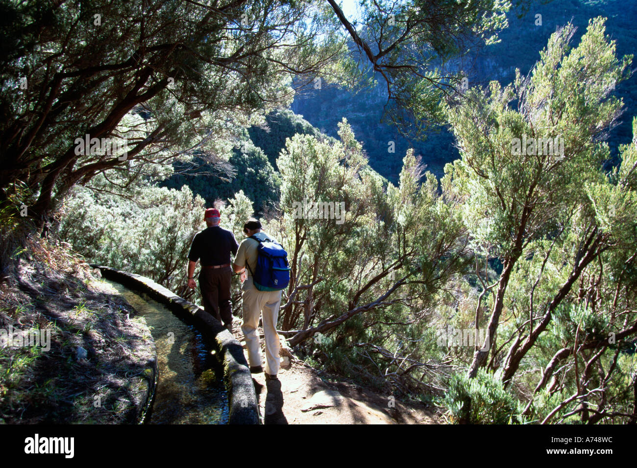 Levada de rabacal hi-res stock photography and images - Alamy