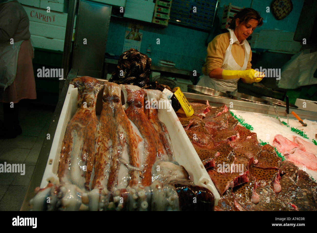 Octopus in Berbes Market VIGO Pontevedra province Galicia region Spain Stock Photo