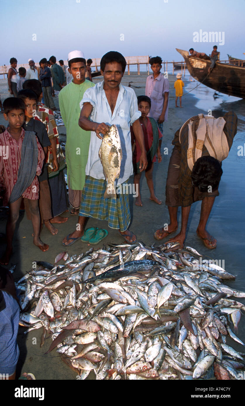 The catch of the day being sorted St Martin island Bangladesh Stock Photo