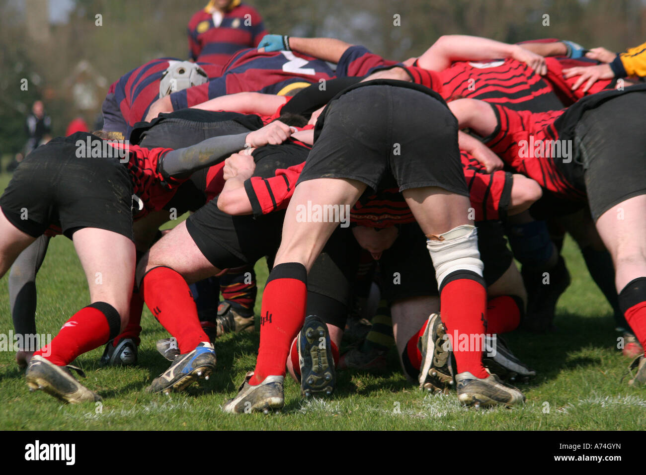 English Rugby Club English rugby club hi-res stock photography and images - Alamy