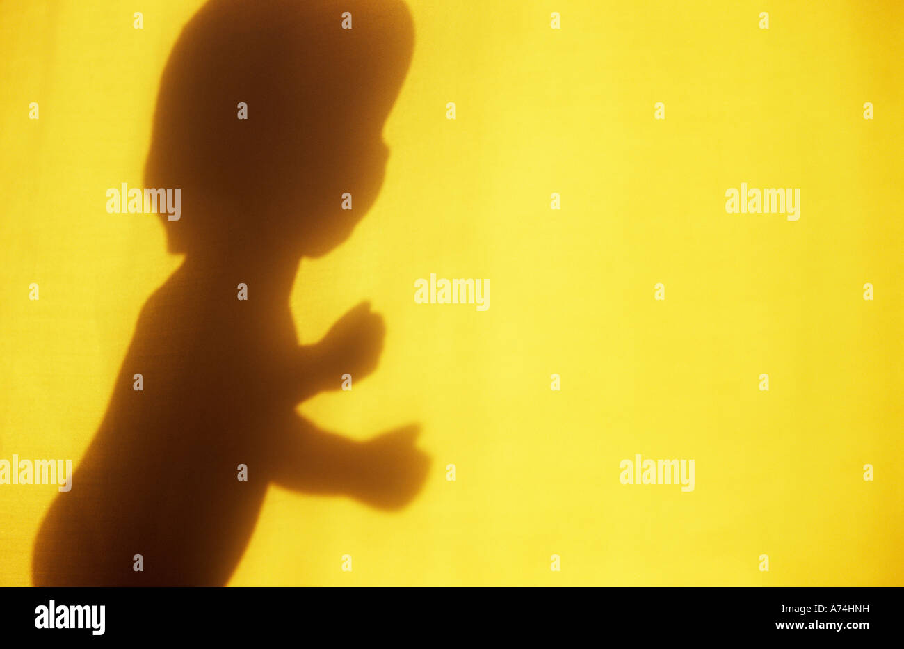 Shadow in warm light on pale cloth or curtain of traditional baby doll