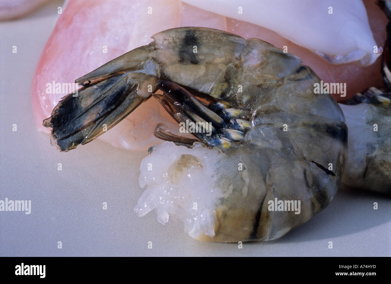UNCOOKED PRAWN CUTTLE FISH Stock Photo
