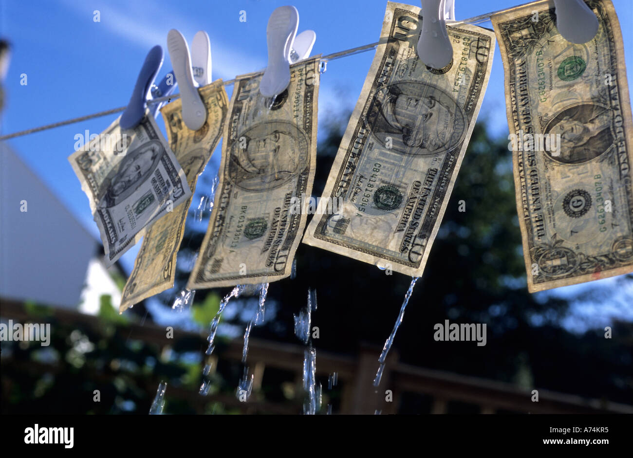 American US dollar Pegged hung out to dry washing line Stock Photo Alamy