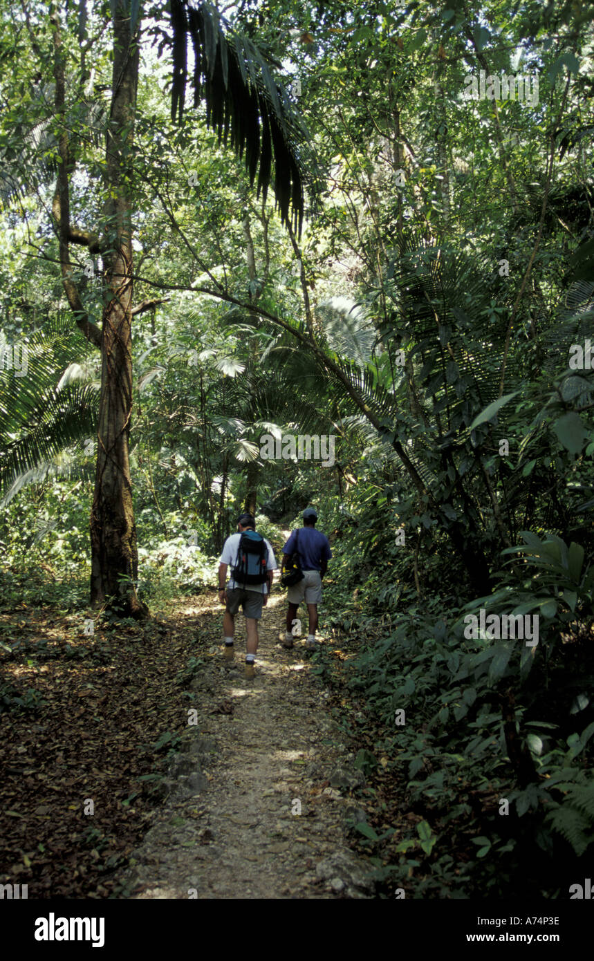 CA, Belize, Punta Gorda. Hiking in the rainforest to Blue Creek cave Stock Photo Alamy