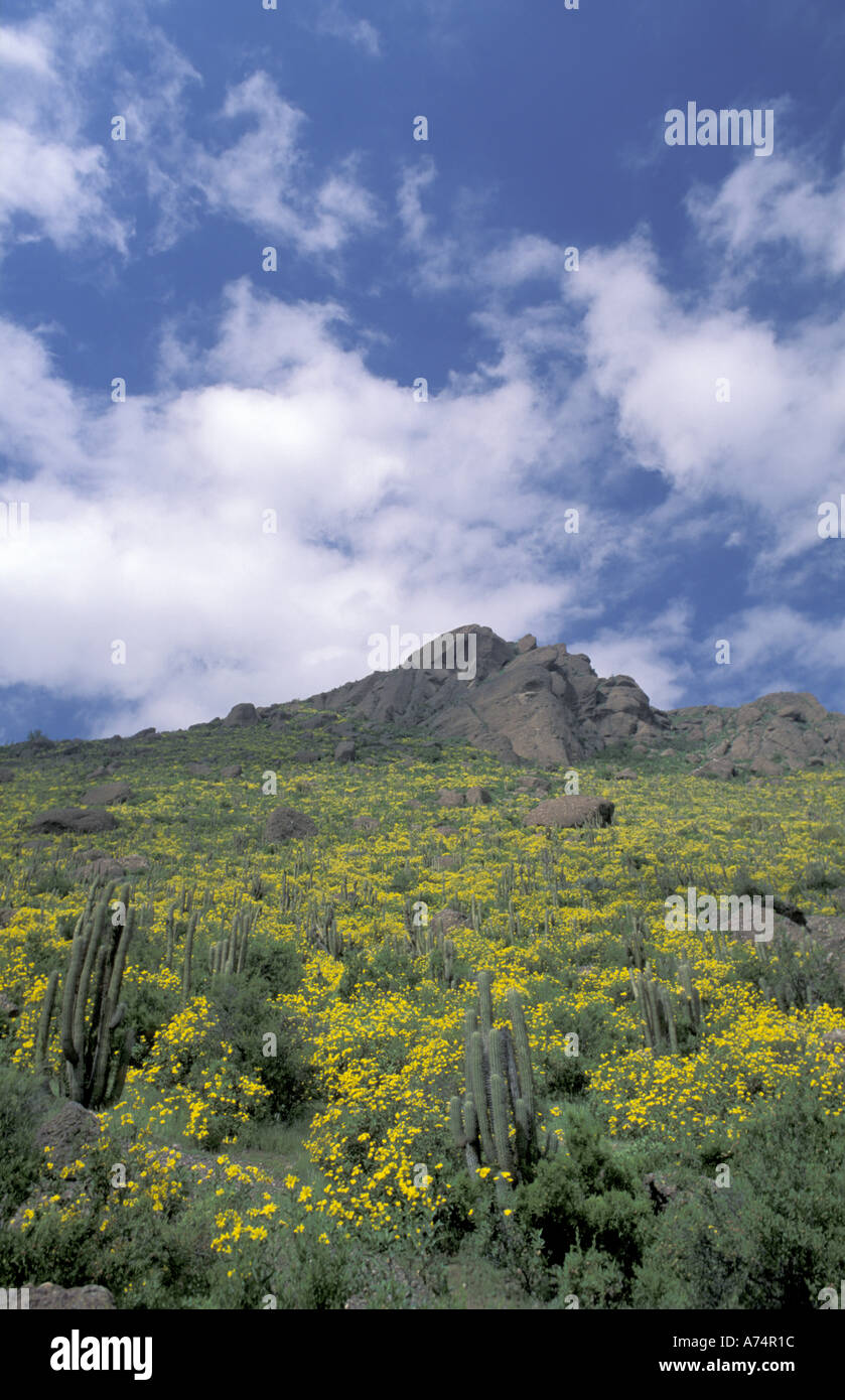 Cuesta las chilcas hires stock photography and images Alamy