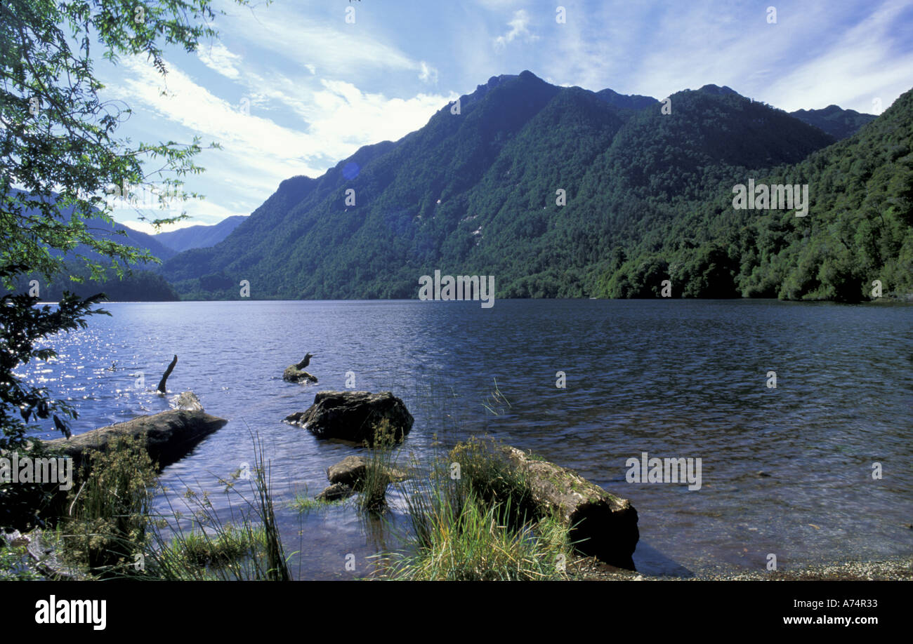 South America, Chile, Lake District, Puerto Montt,  Alerce Andino National Park,  Zargazo Lake Stock Photo