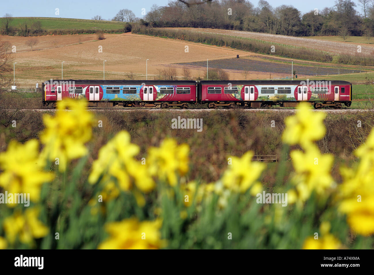 A train winds through countryside between Exeter and Exmouth Stock Photo