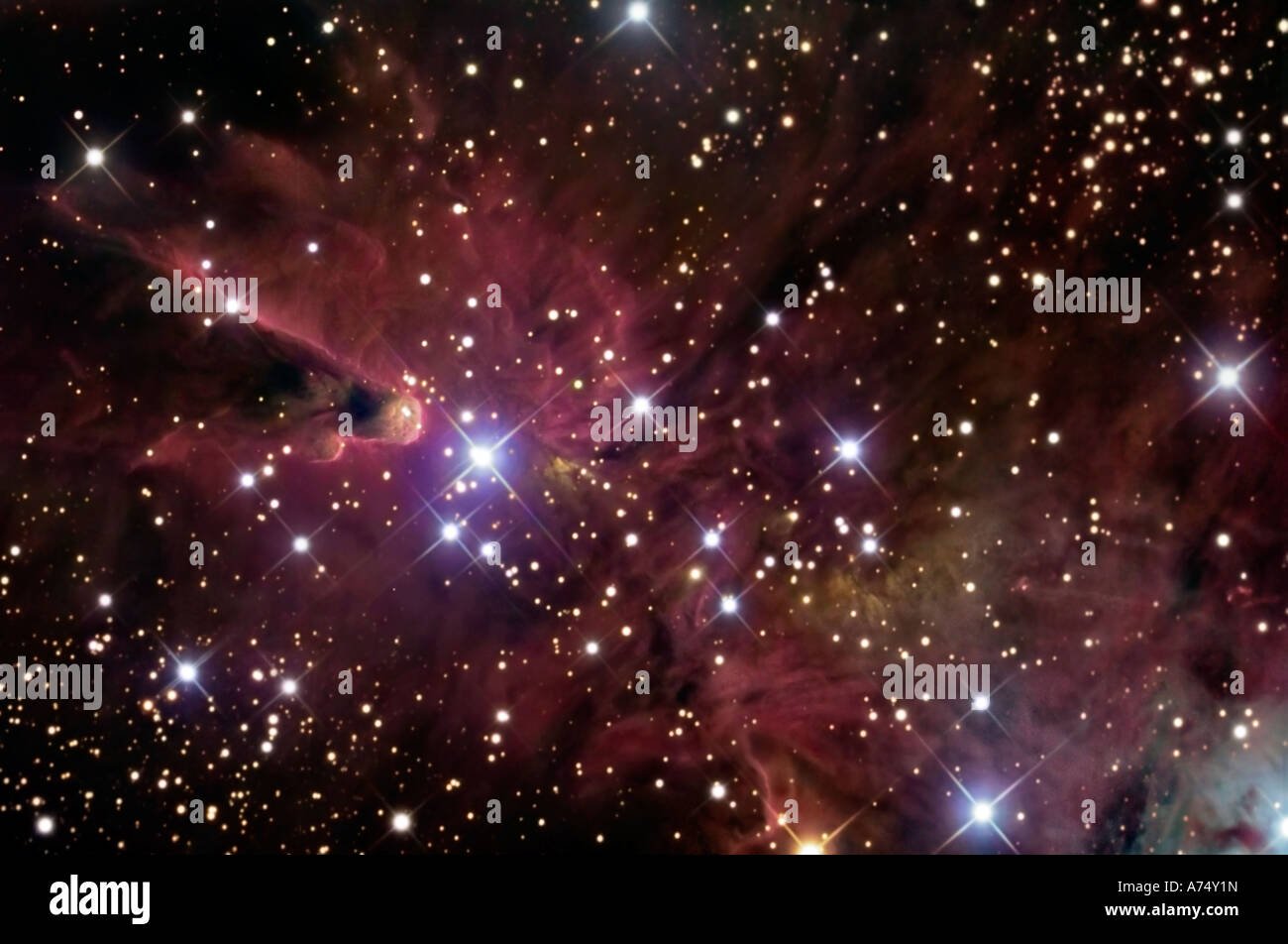 The Cone Nebula and Christmas Tree Cluster, also known as NGC 2264, in
