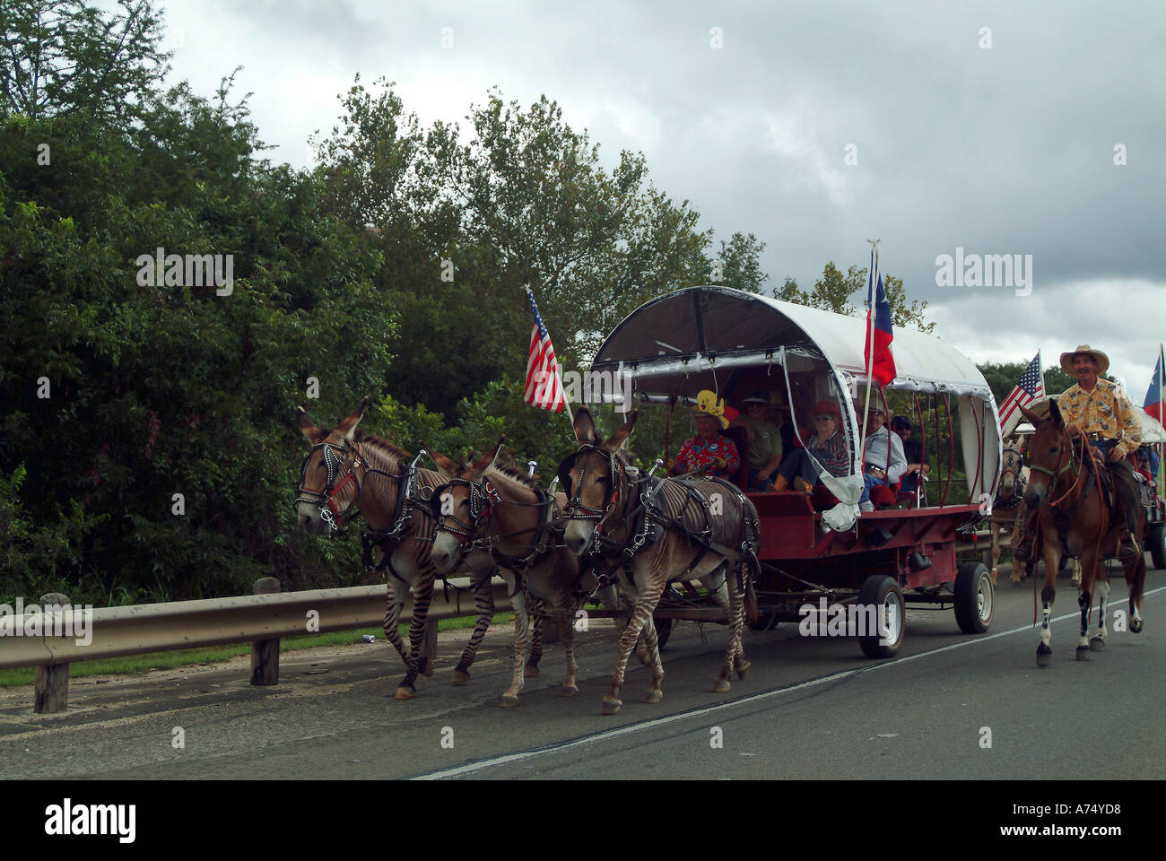 A convoy of cowboy trailers in Bandera Texas Stock Photo Alamy
