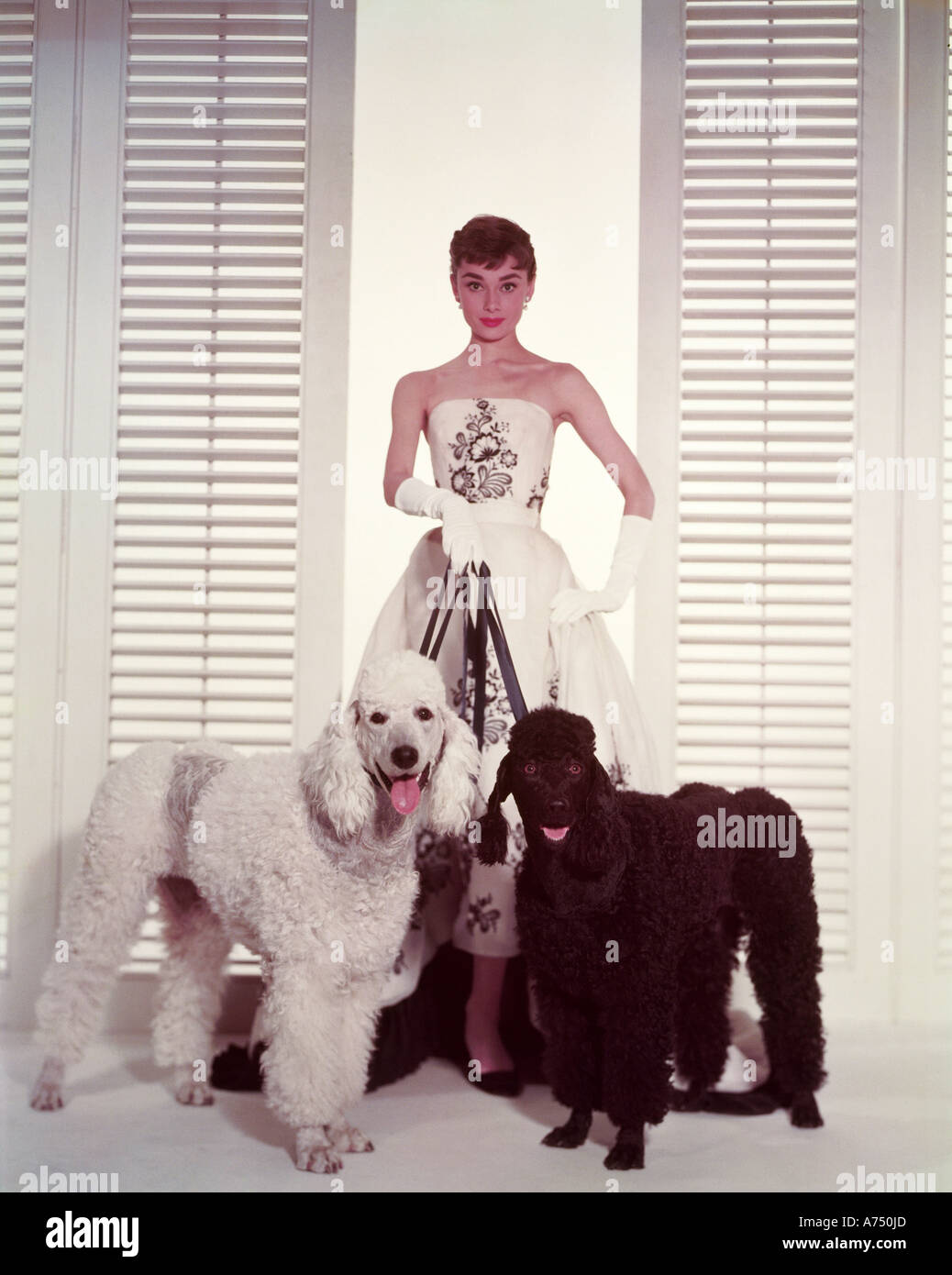 SABRINA   1954 Paramount film with Audrey Hepburn as Sabrina Fairchild in a Givenchy dress Stock Photo