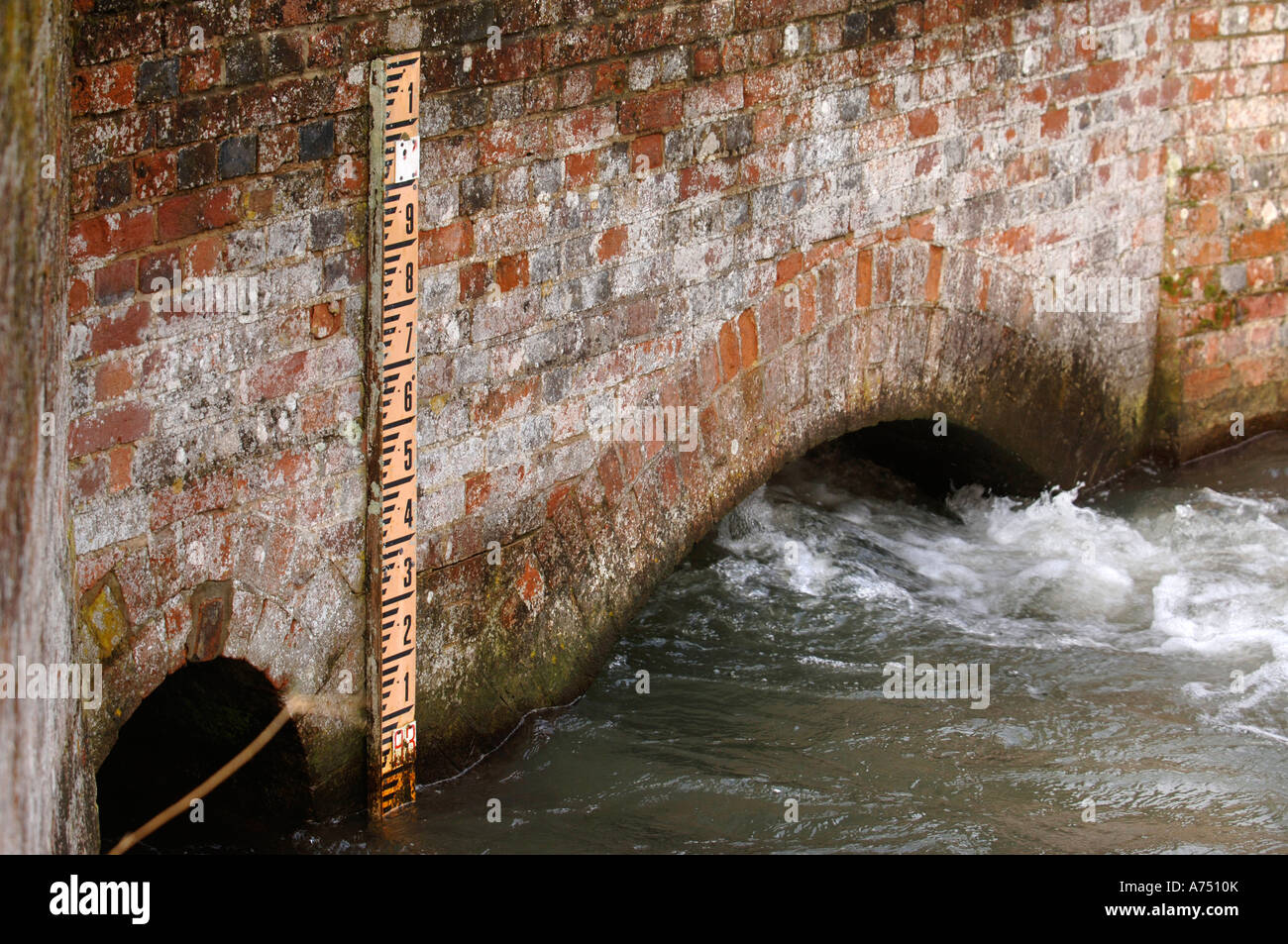 HIGH RIVER LEVELS ON THE RIVER KENNET AT LOWER DENFORD NEAR HUNGERFORD UK Stock Photo