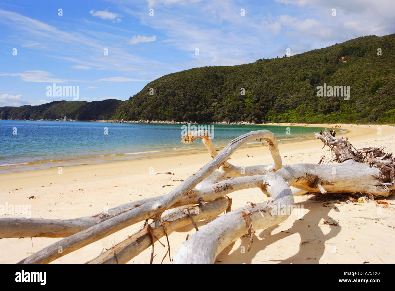 Tonga bay, Abel Tasman, National Park, South Island, New Zealand Stock  Photo - Alamy