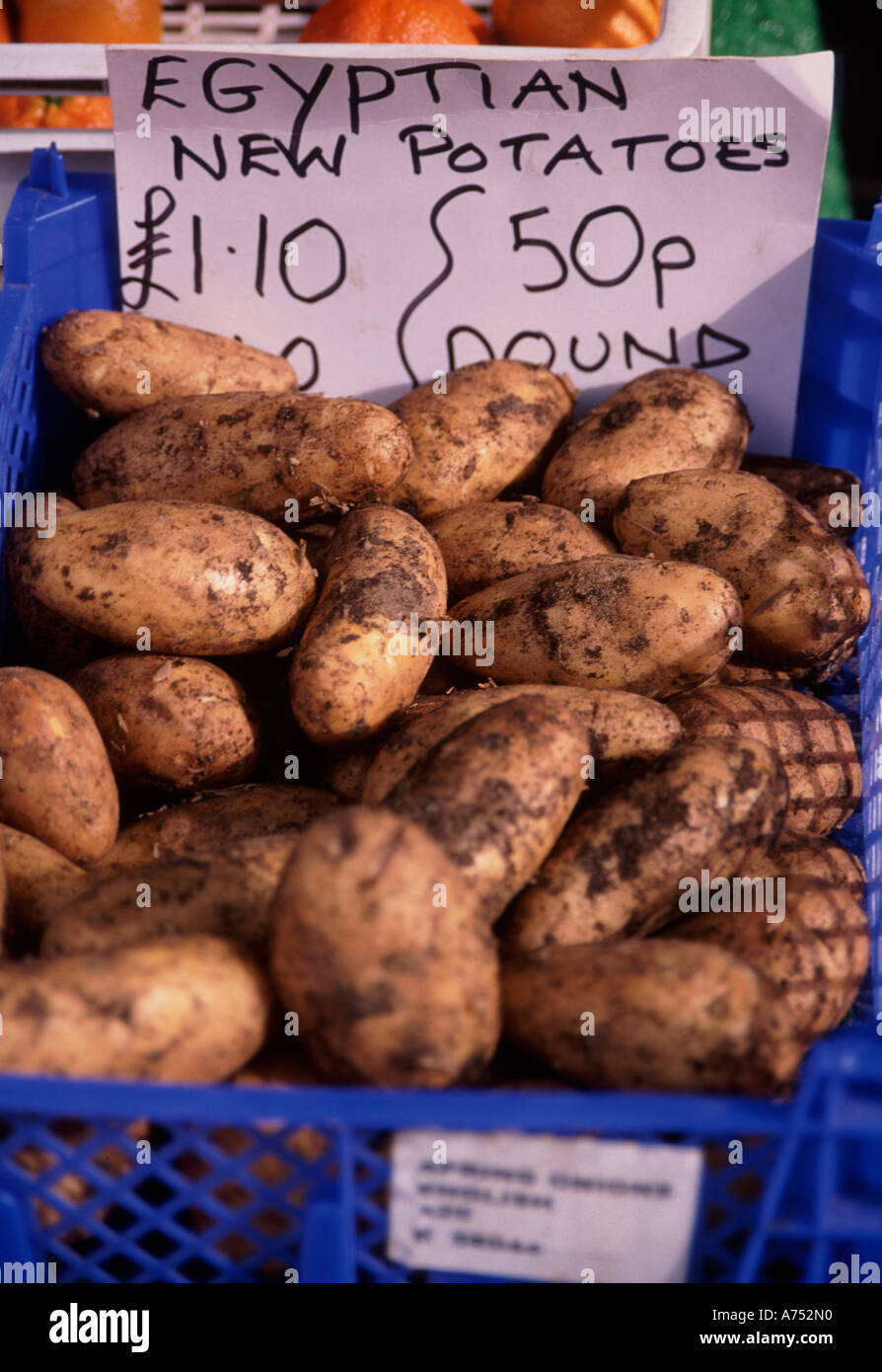 Egyptian new potatoes on sale in Britain close up view with label and