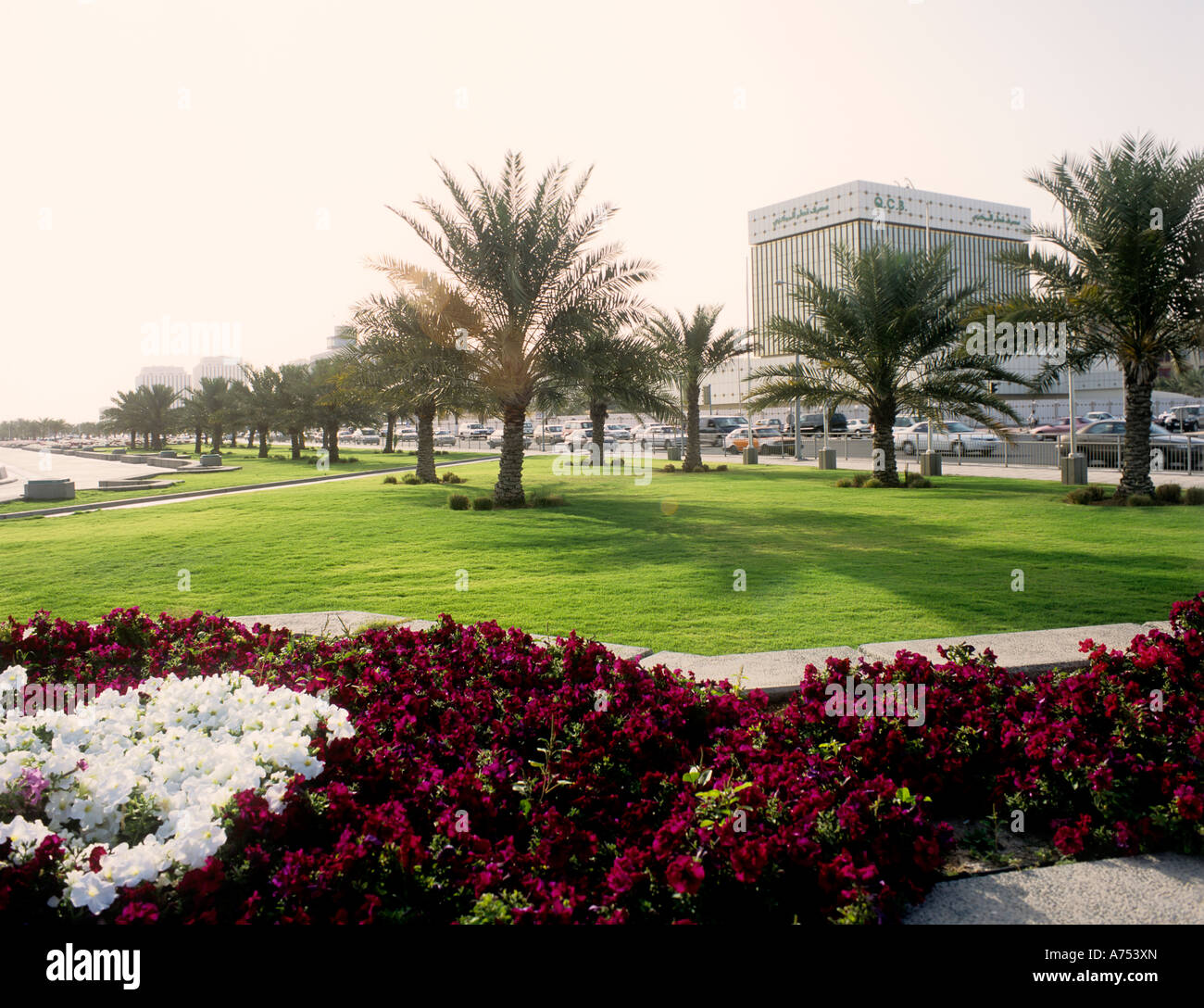 A PARK IN DOHA QATAR Stock Photo - Alamy