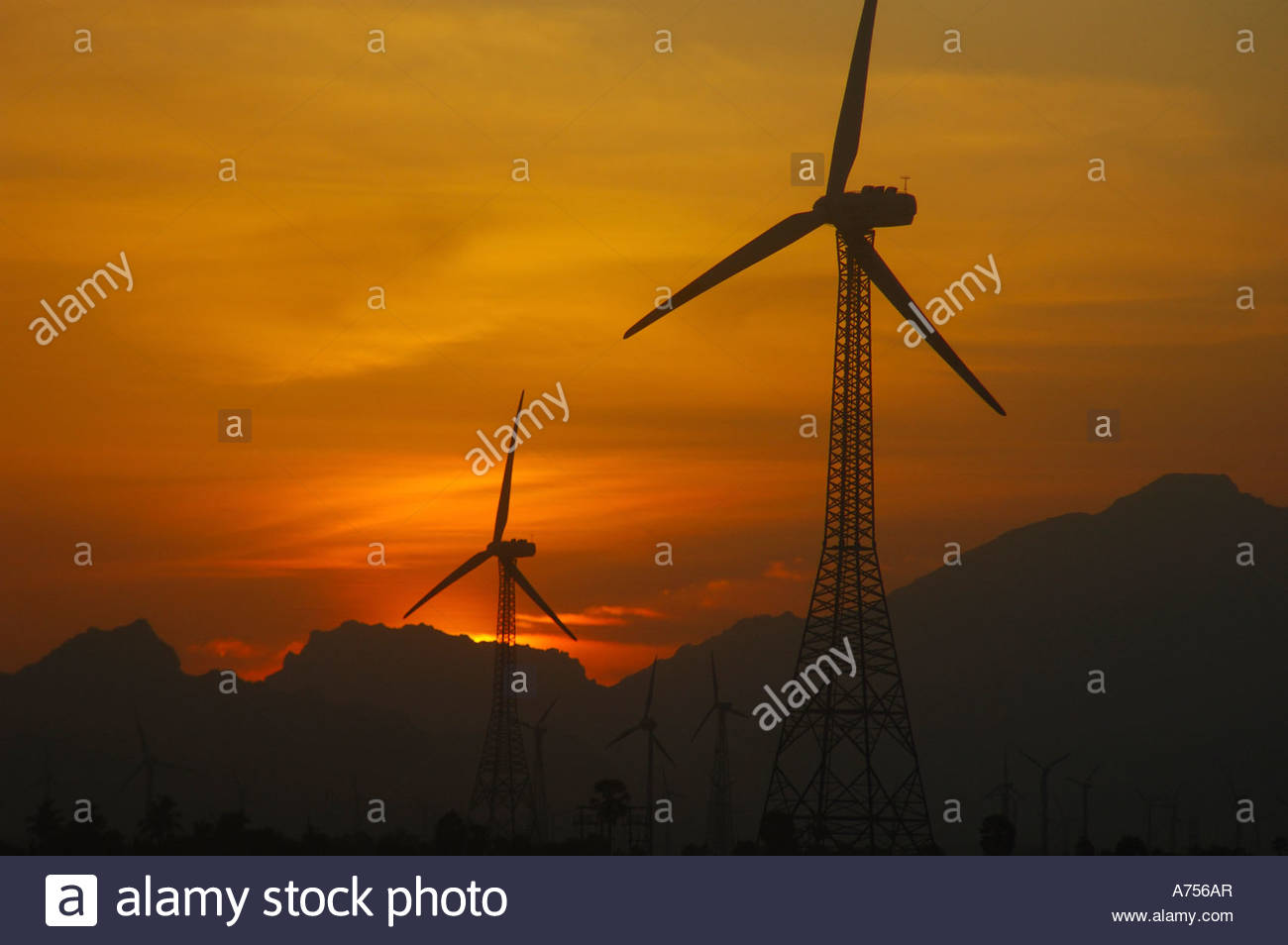 Nagercoil Stock Photos & Nagercoil Stock Images - Alamy