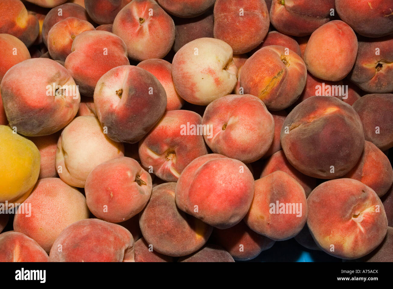 Box full of peaches near Alexandra South Island New Zealand Stock Photo Alamy