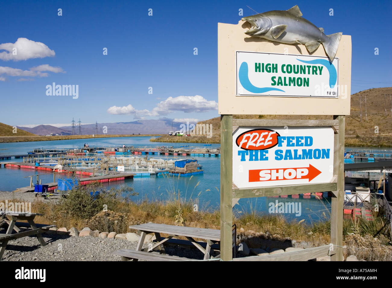 Salmon farming at High Country Salmon near Twizel with roadside shop