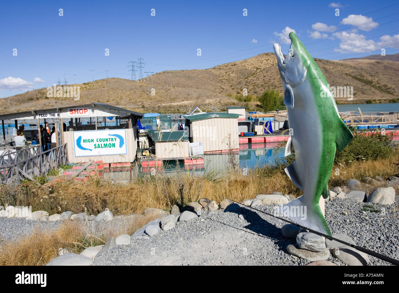 Salmon farming at High Country Salmon near Twizel with roadside shop