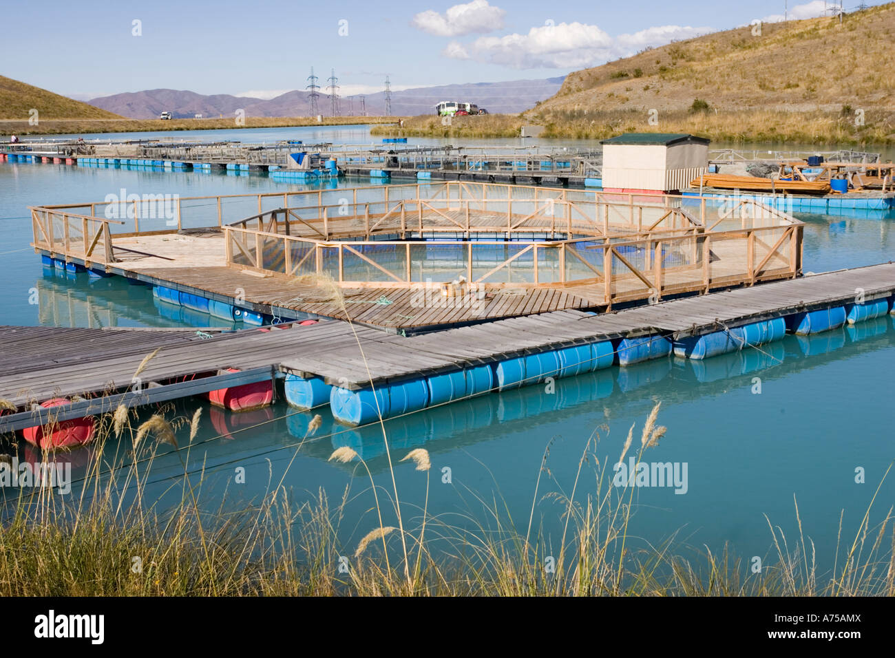 Salmon farming at High Country Salmon near Twizel with roadside shop