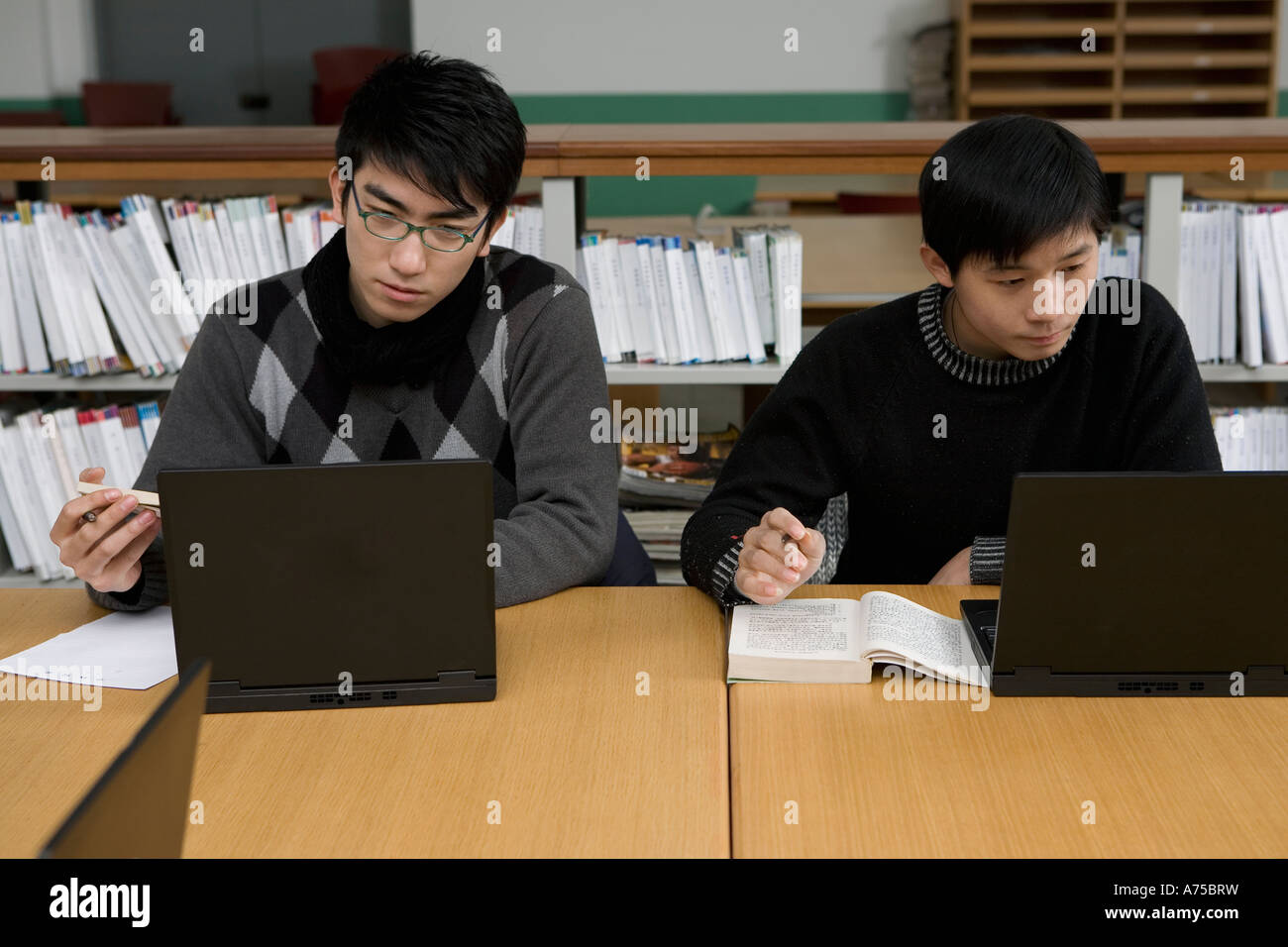 Male students studying Stock Photo