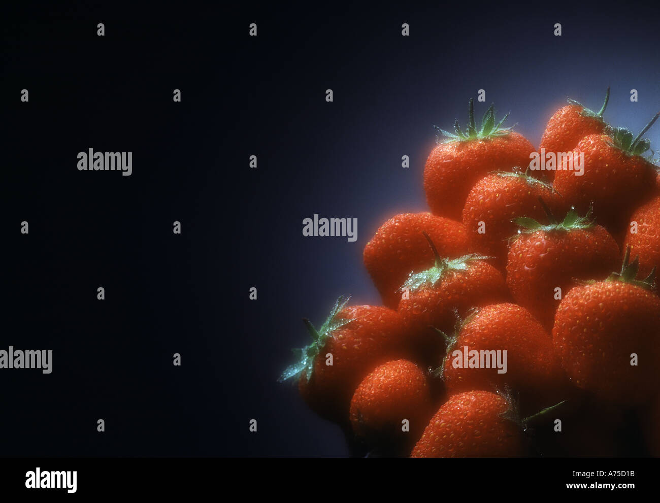 still life with strawberries Stock Photo - Alamy