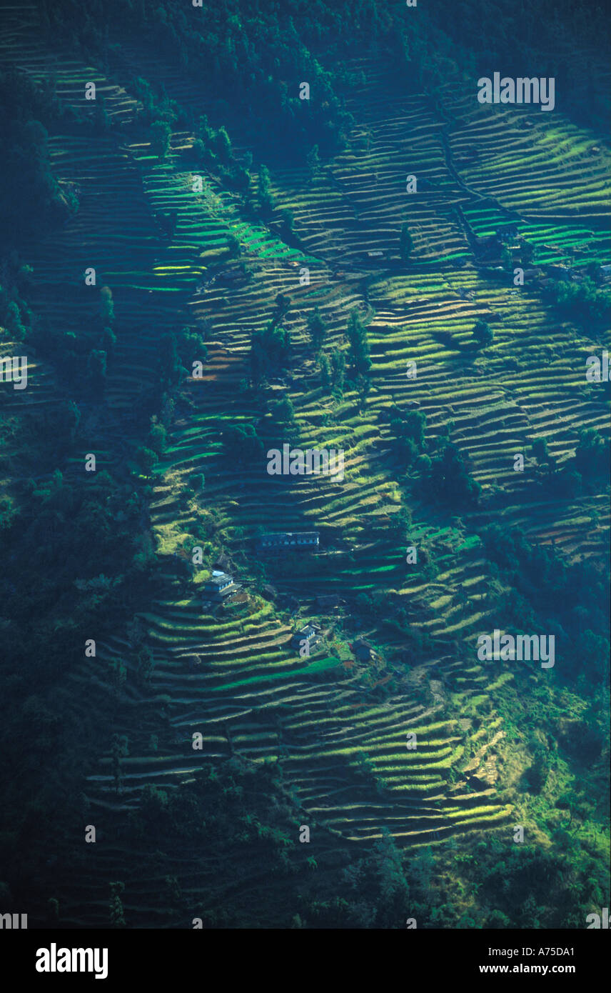 Terraced Hillside nr Tatapani Annapurna Himalaya Nepal Stock Photo