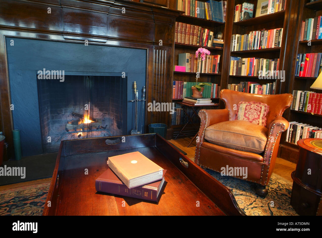 Library room with fire burning and books Stock Photo - Alamy