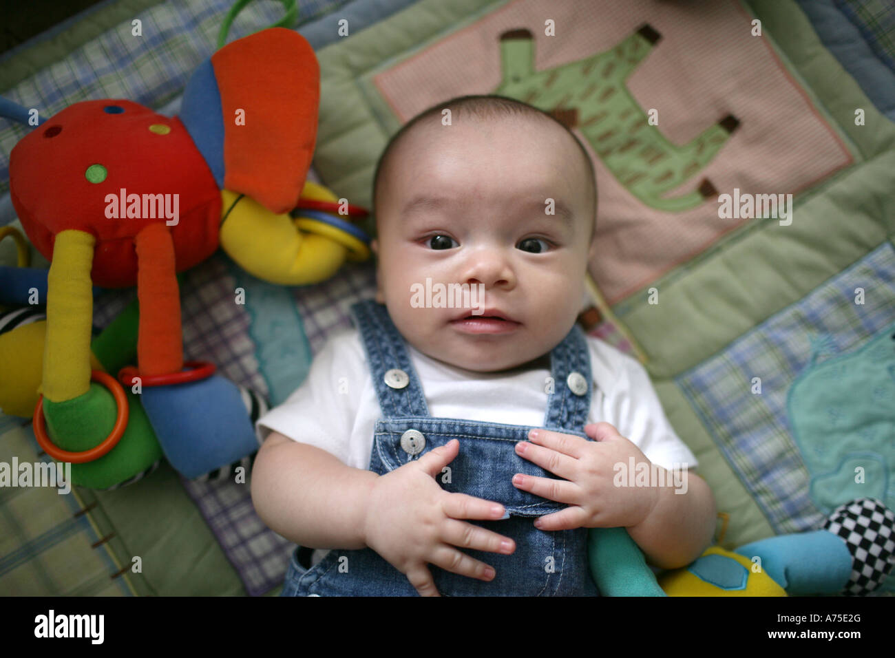 Infant Baby Asian American Stock Photo