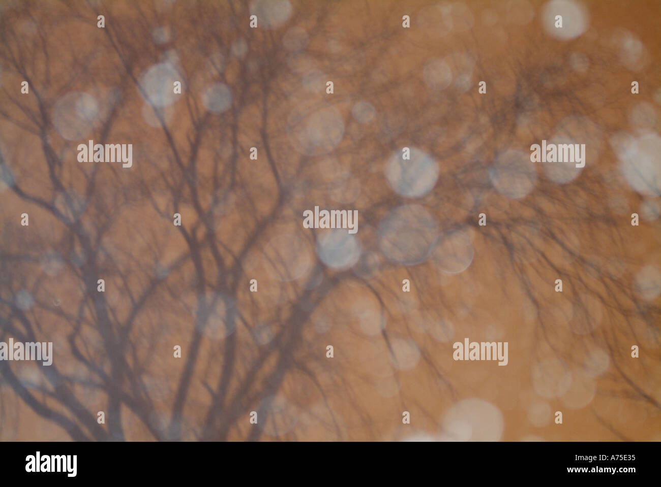 Snow falling during a winter storm Stock Photo