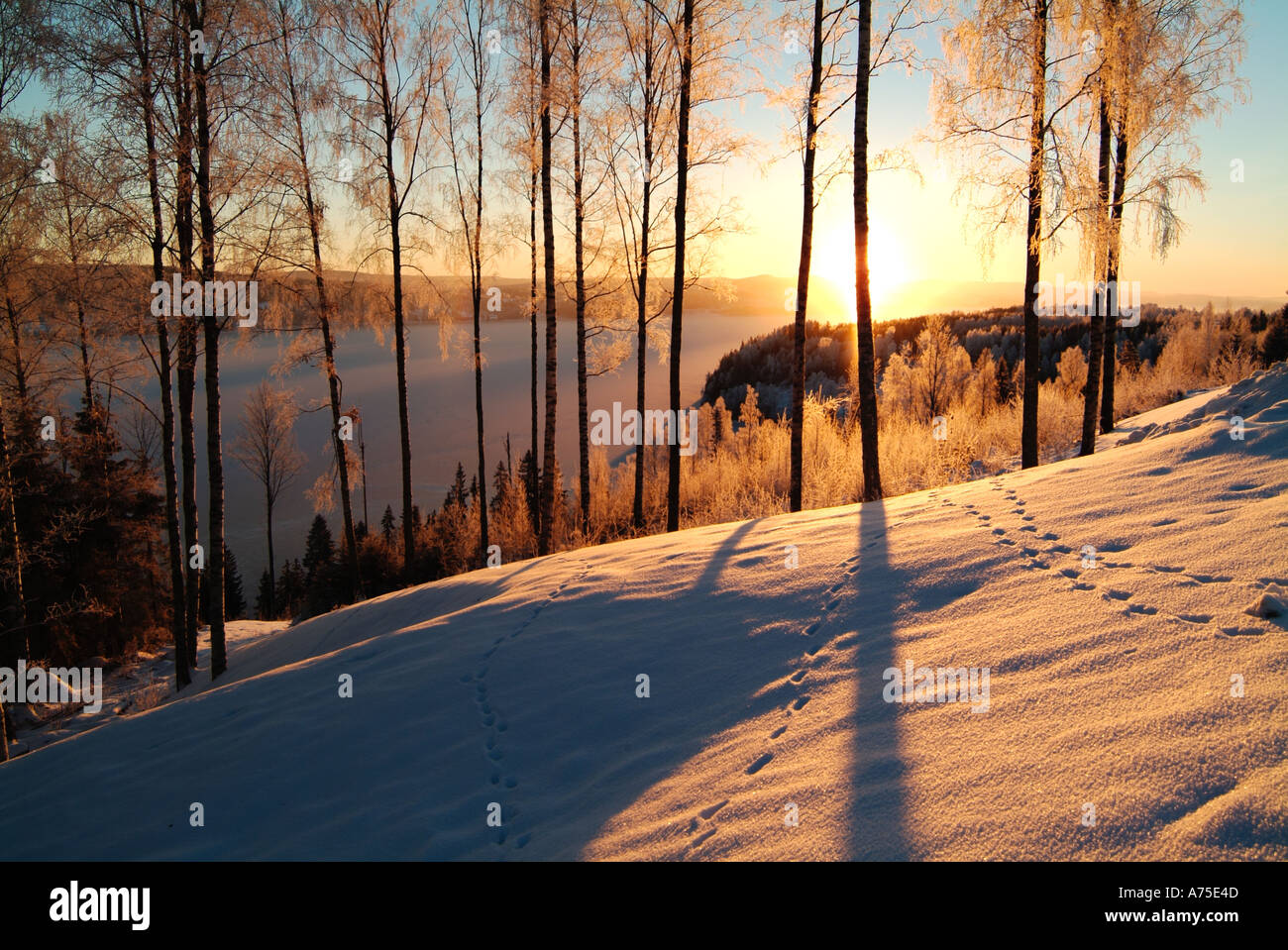 Winter View Over Lake Fryken In Rural Varmland Sweden