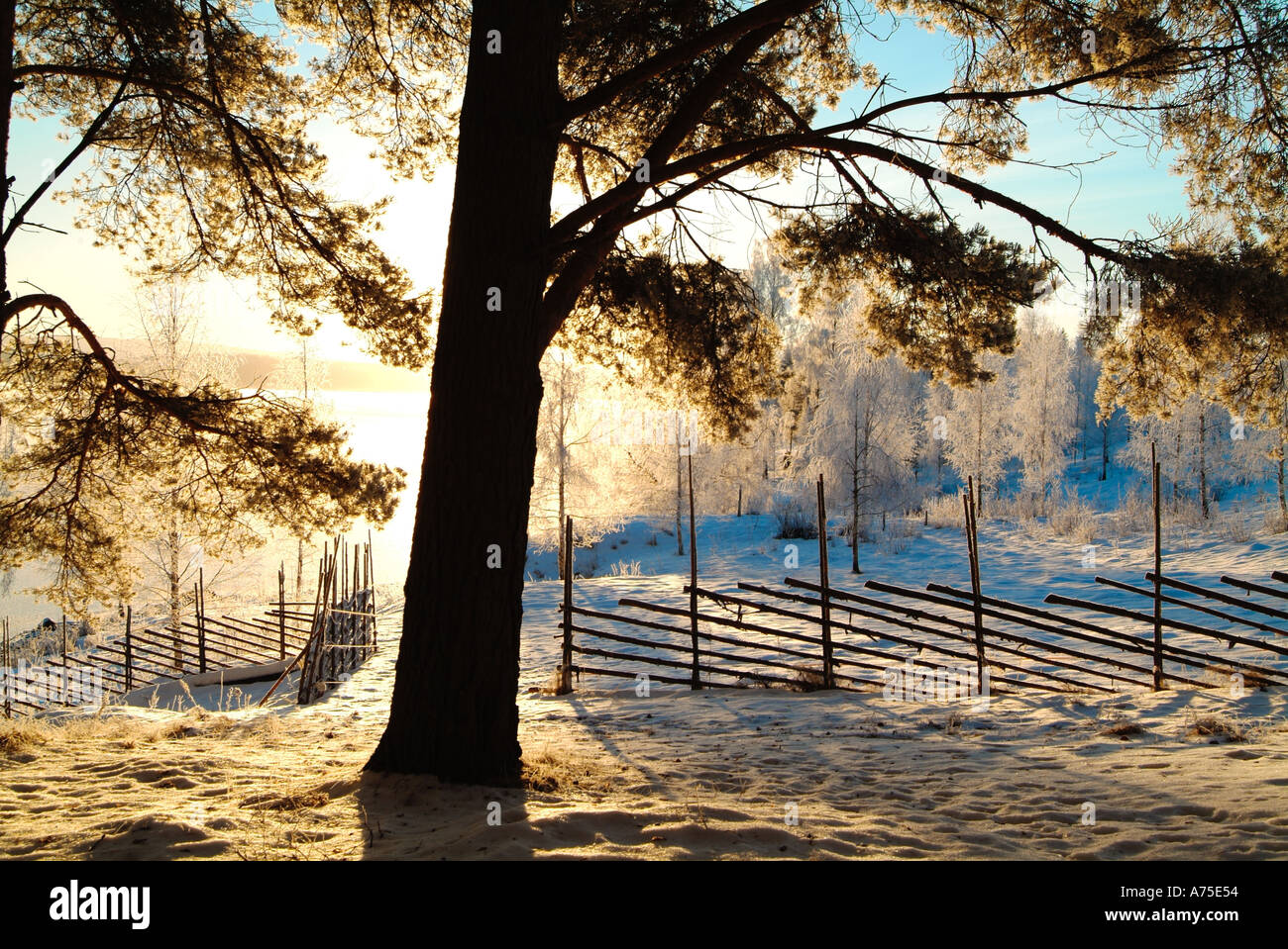 Frosty fence at sunrise in rural Varmland Sweden Stock Photo