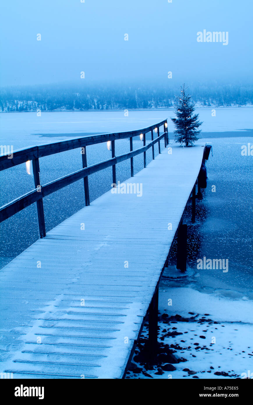Christmas Tree with lights on a dock in lake Fryken Varmland Sweden