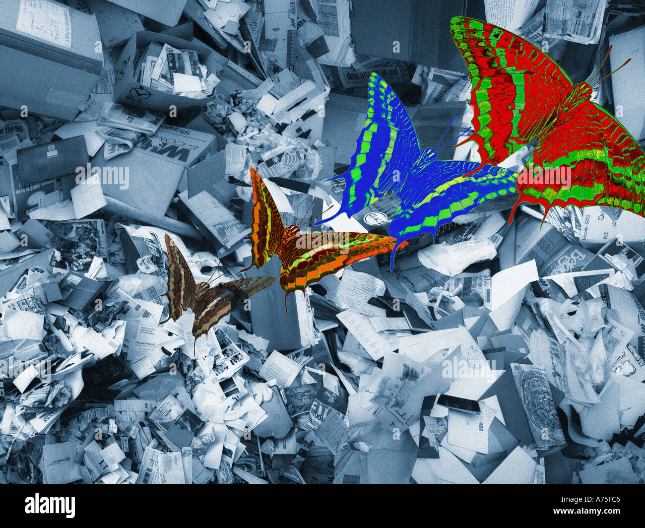 Recycling paper and butterflies Stock Photo Alamy